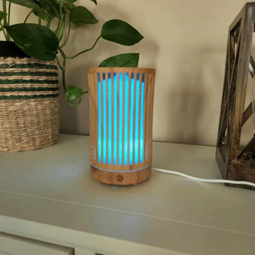 Chic Bamboo Diffuser